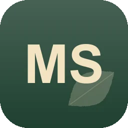 Logo Msg Service