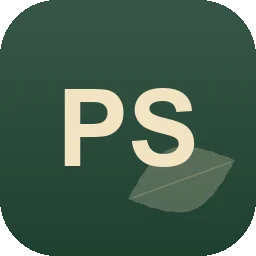 Logo P. Schmidt