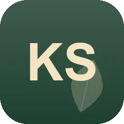 Logo Kong Solutions