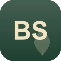 Logo Bsl Service und Dienstleistungen