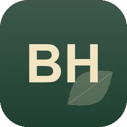 Logo Baggerarbeiten Hönnemann