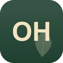 Logo OSR Handwerksteam München Berg am Laim
