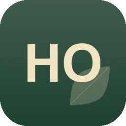 Logo Der Holzjunge