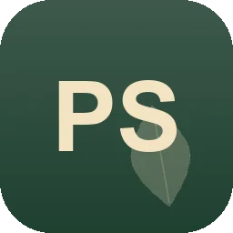 Logo PS Service