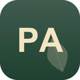Logo PS - Allroundservice