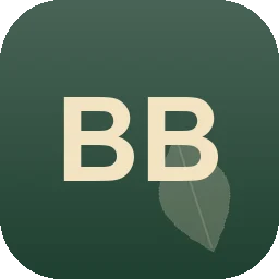 Logo Braun & Balser