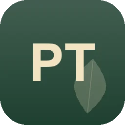 Logo Patrick Temmen