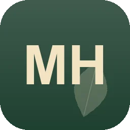 Logo MEISTER HOCH DREI