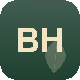 Logo Bergmann Handwerk, Bau More