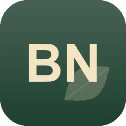 Logo Burkhard Nielsen